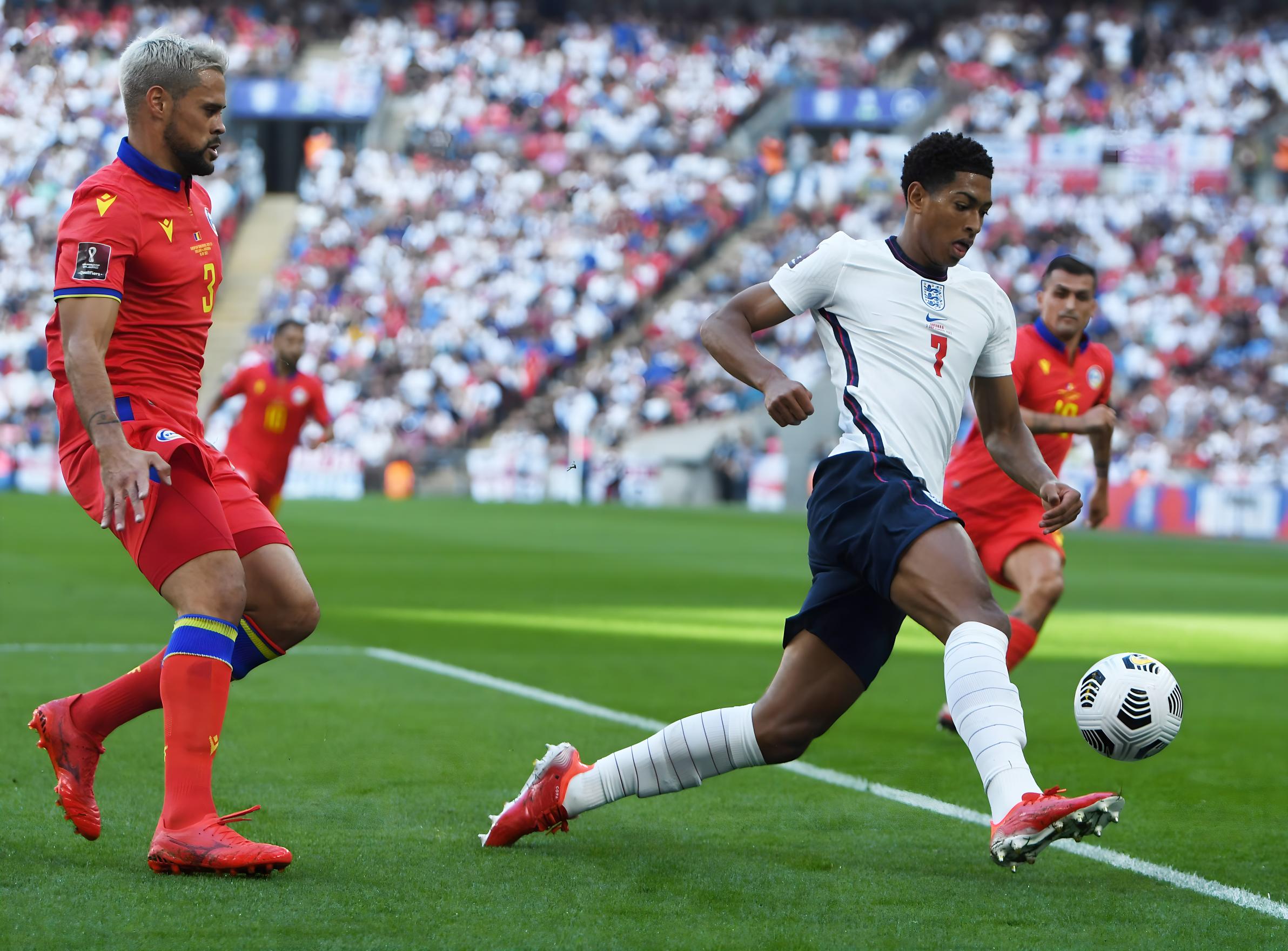 但也为她提 但也为她提